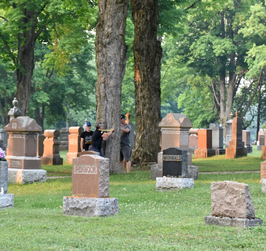 Mount Forest Green Team conducting tree inventory