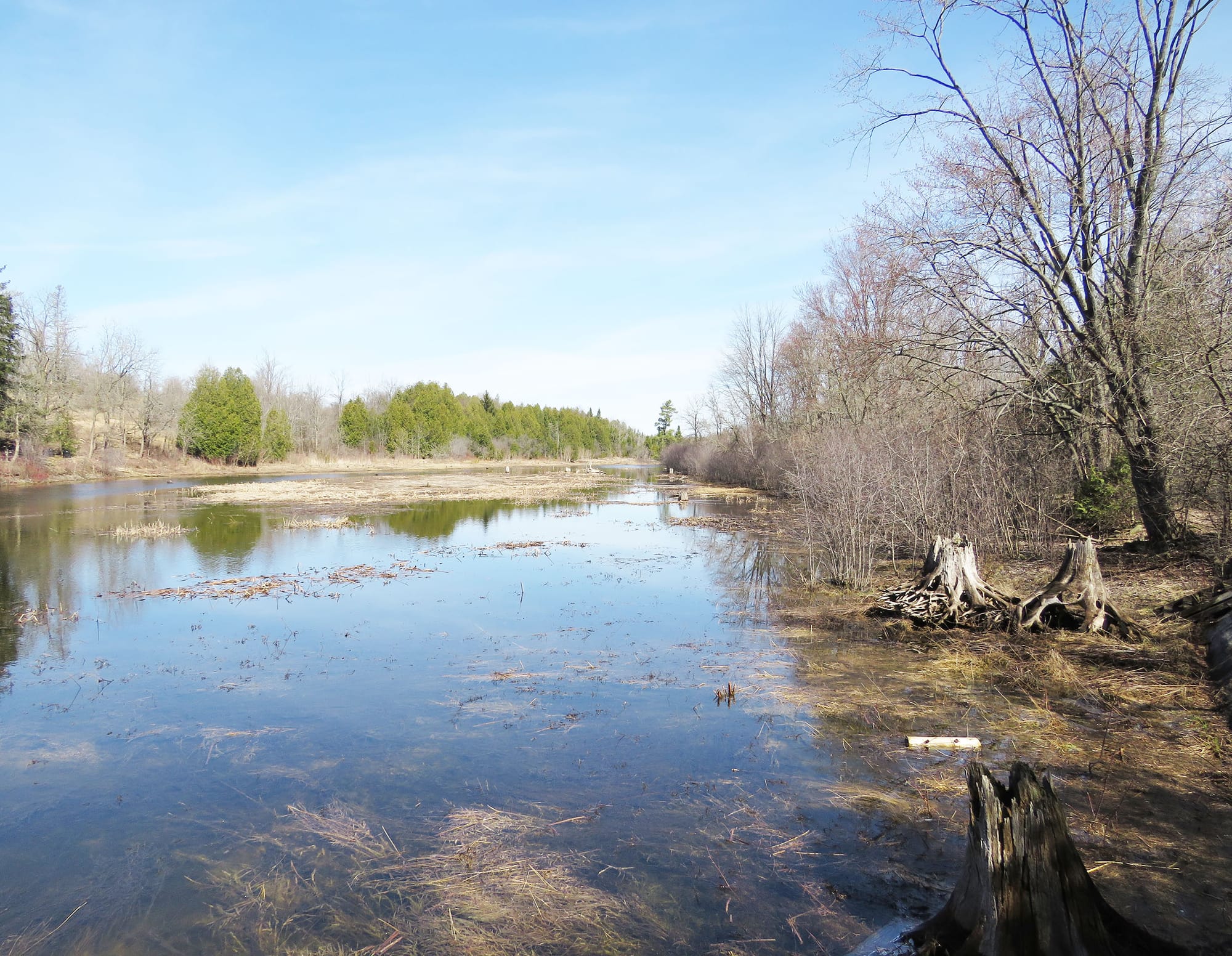 Eden Mills Mill Pond lands donated to Rare Charitable Research Reserve