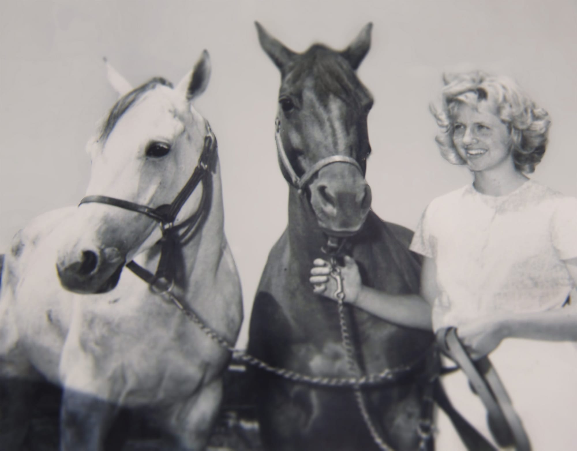 Mount Forest horse whisperer has royal encounter