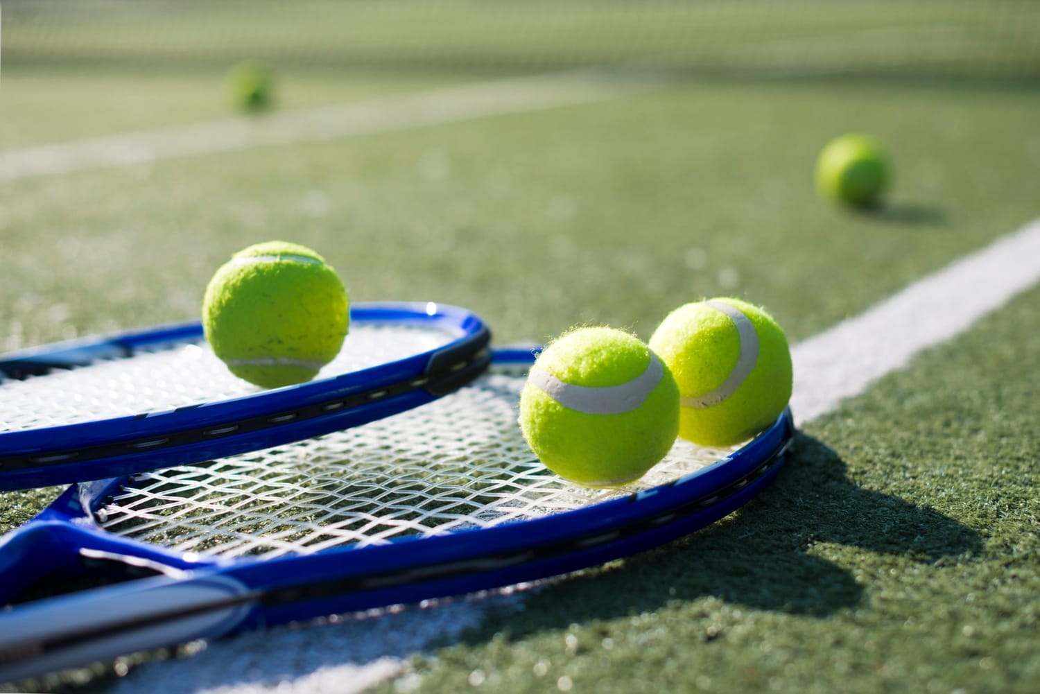 Erin Tennis Club asks town to contribute $150,000 for court repairs
