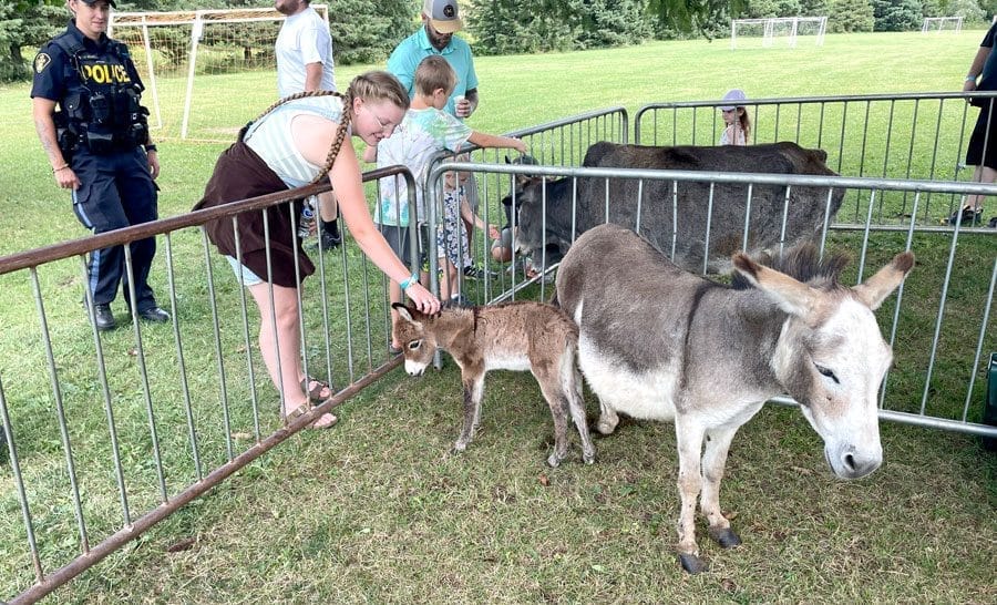 Drayton Fair kicks off season of local agricultural exhibitions