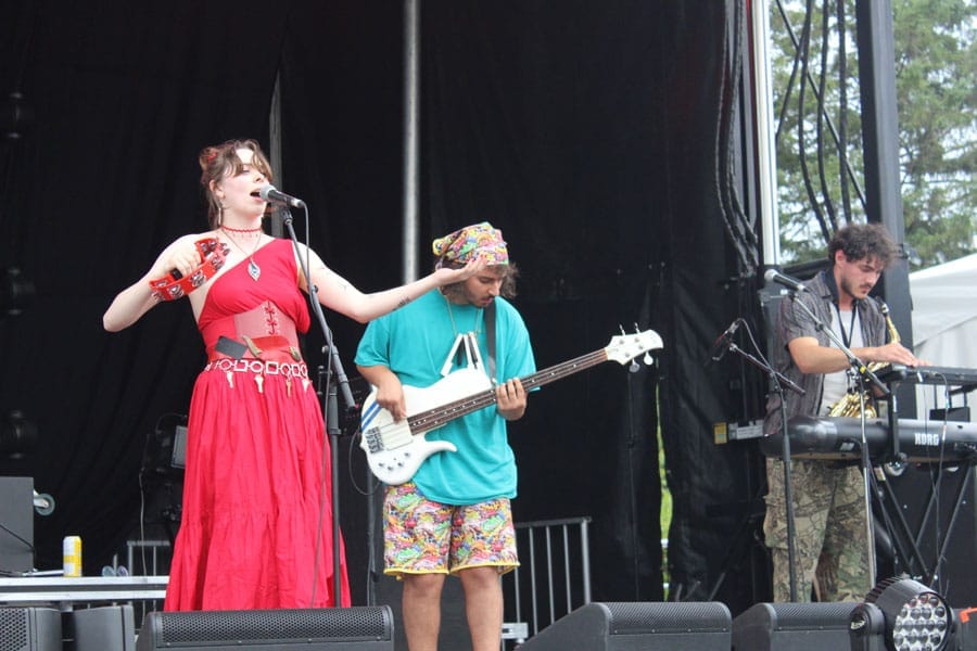 Riverfest Elora brings musical talent to Bissell Park