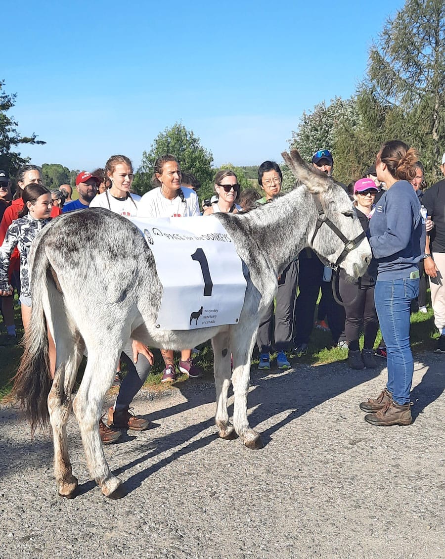 PACE for the Donkeys 5K Trail Run