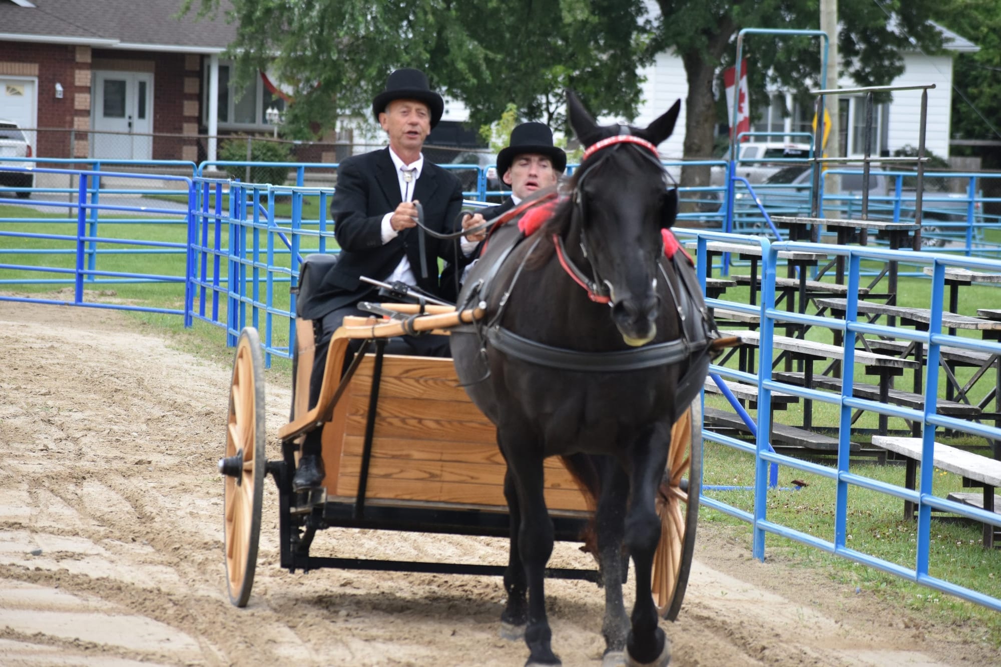 Arthur Fall Fair showcases agriculture, rural lifestyles