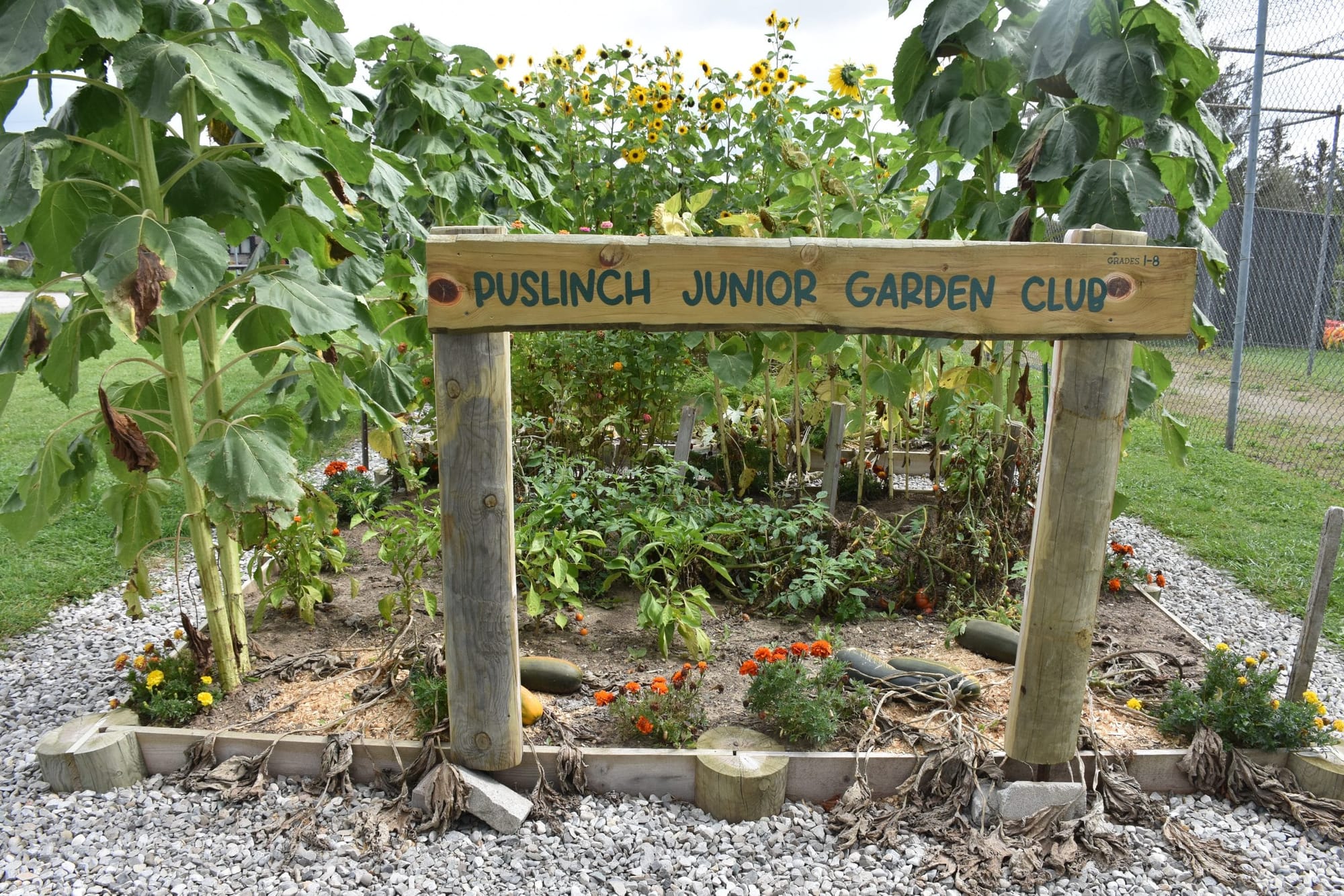 Puslinch Junior Garden Club sports produce in fall fair