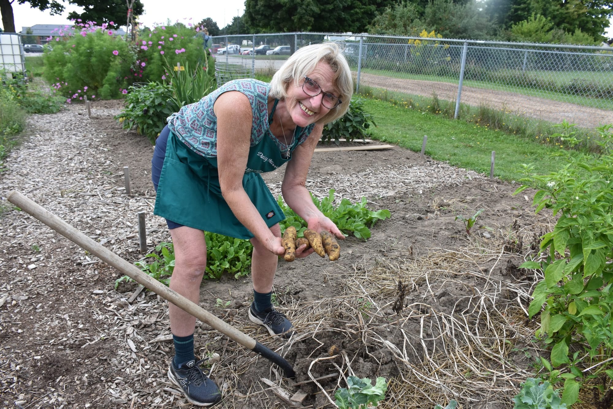 Community garden enjoys fruits (and vegetables) of labour at harvest celebration