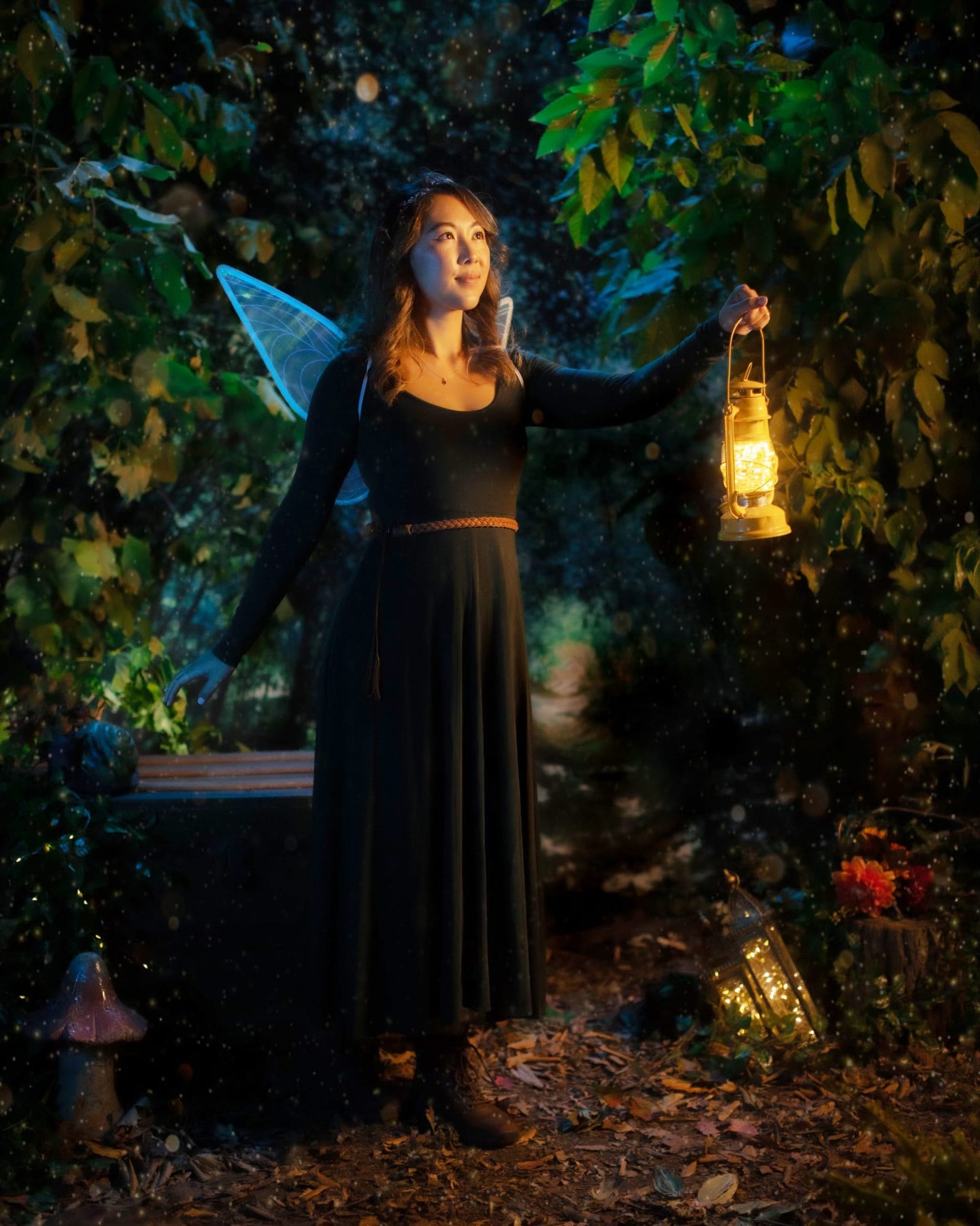 Enchanted Forest of Fergus -  An evening of music, art and magic