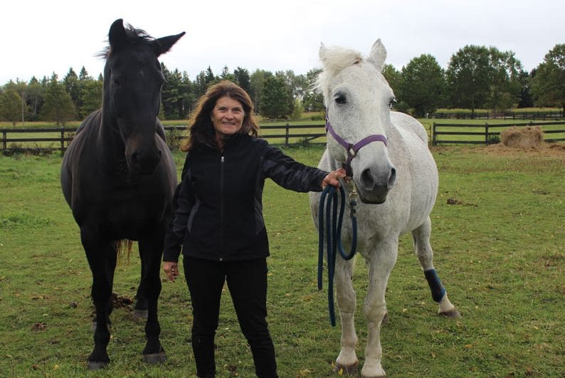 Irish Creek Stables well on road to recovery after equine herpesvirus outbreak