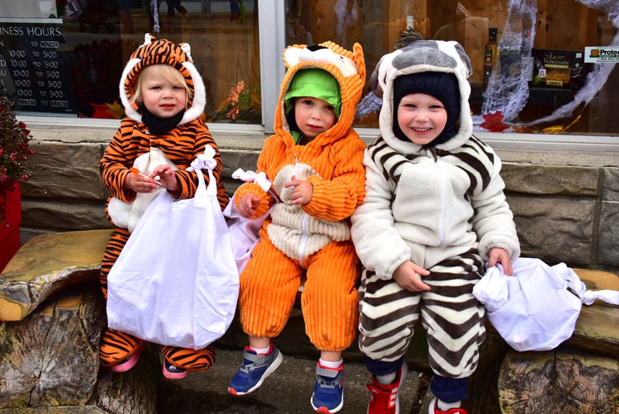 Let the haunting begin