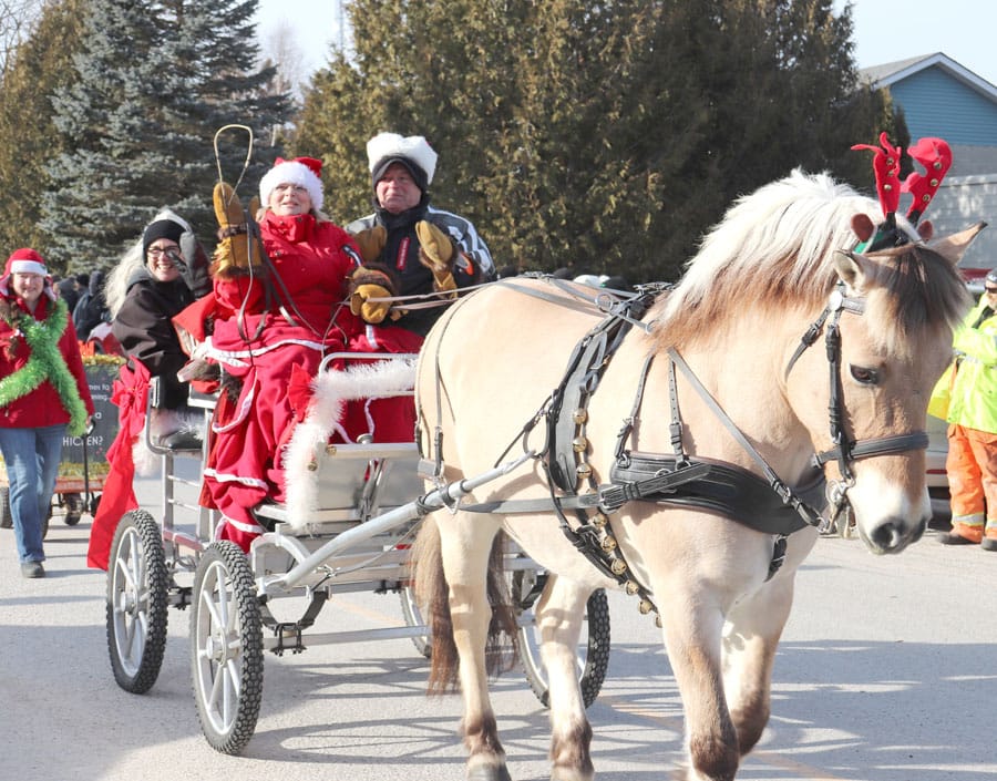 Non-motorized Holstein parade a seasonal spectacle on Dec. 9
