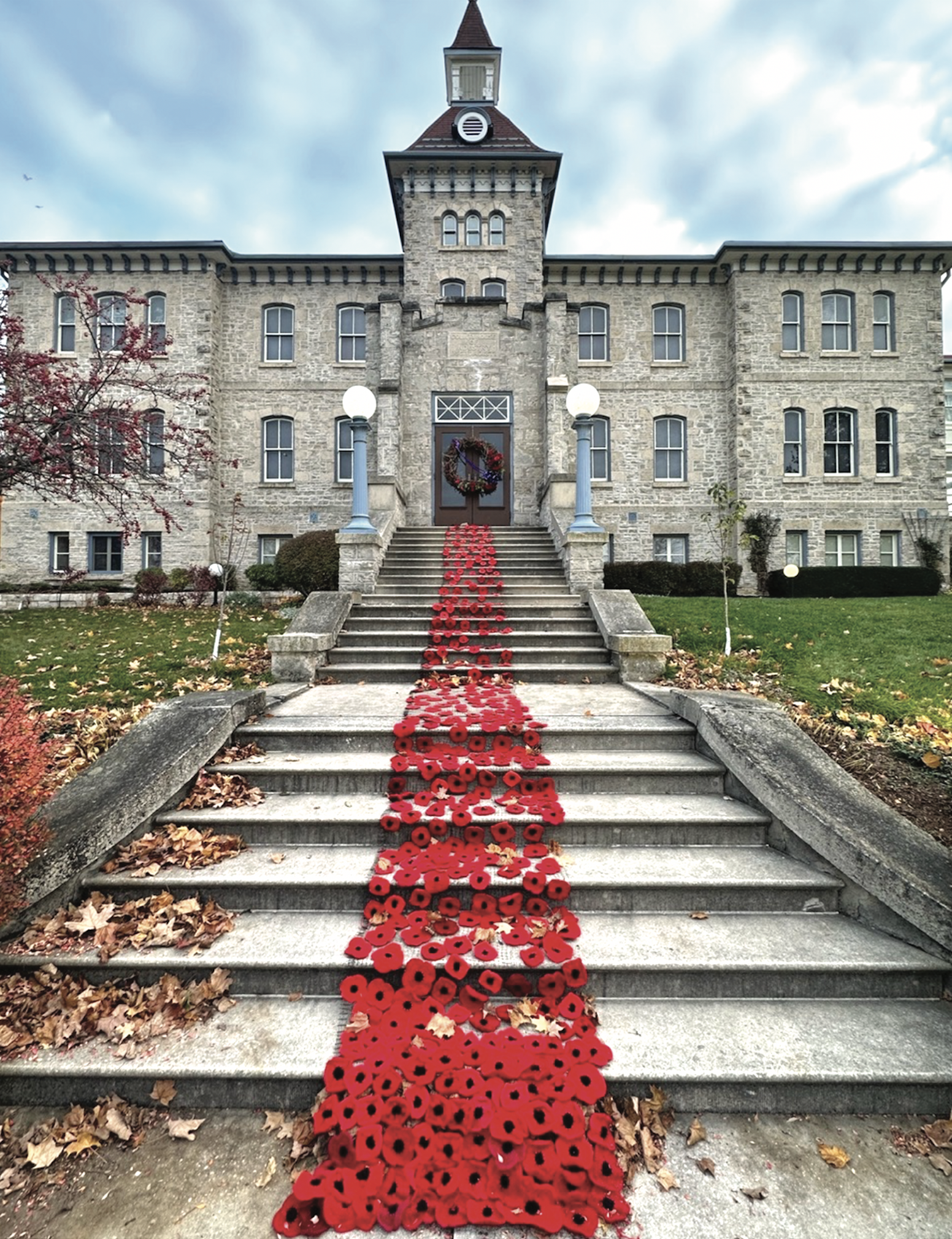 St. John’s poppy project still going strong