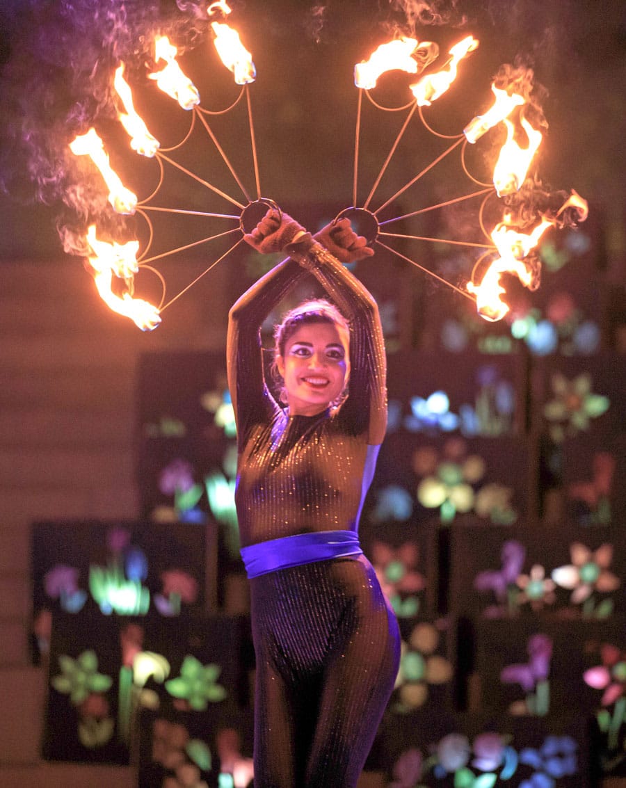 Fire and Ice Family New Year’s Eve celebration planned in Palmerston