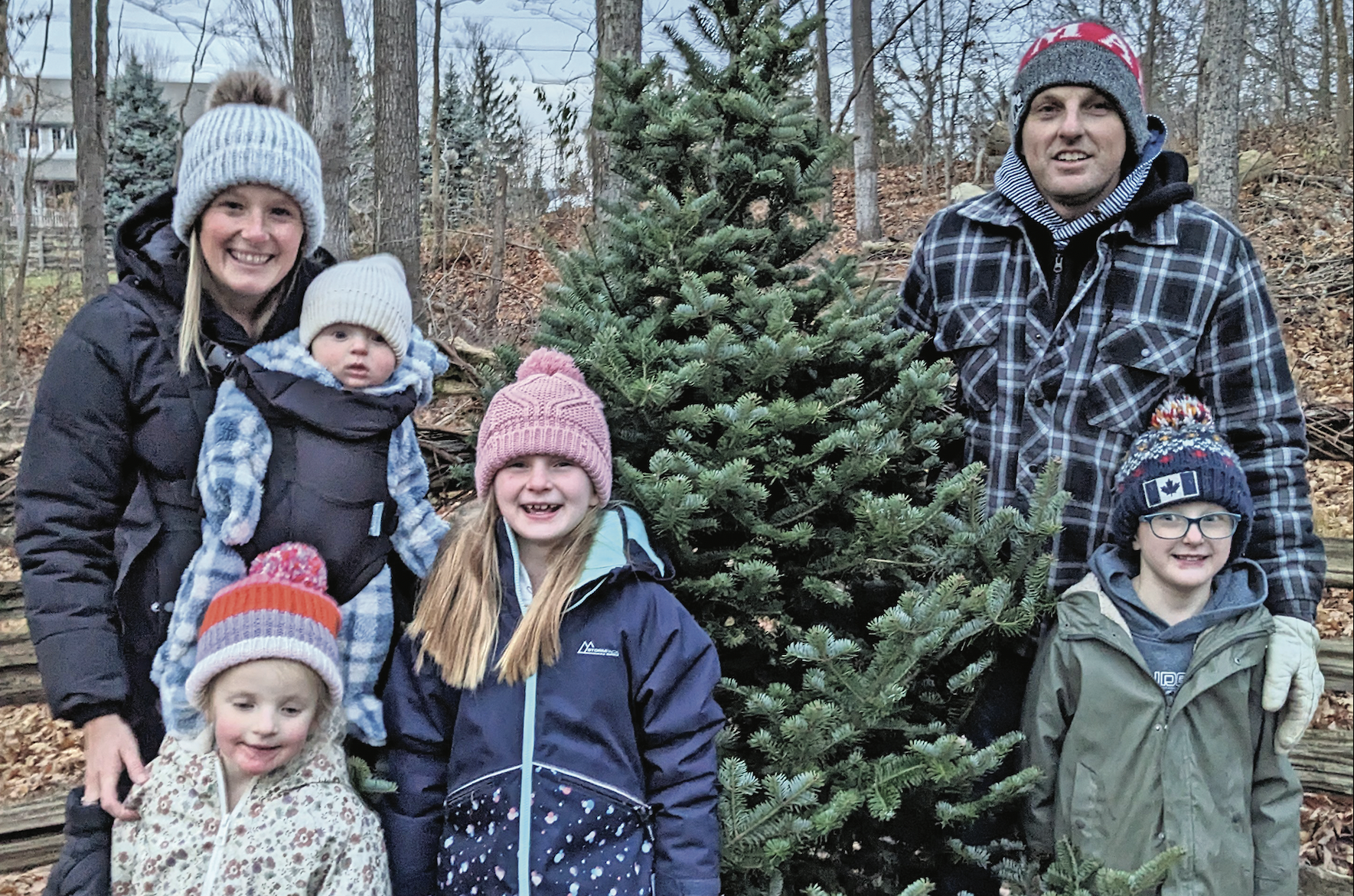 Strong interest in real Christmas trees keeping local farms busy