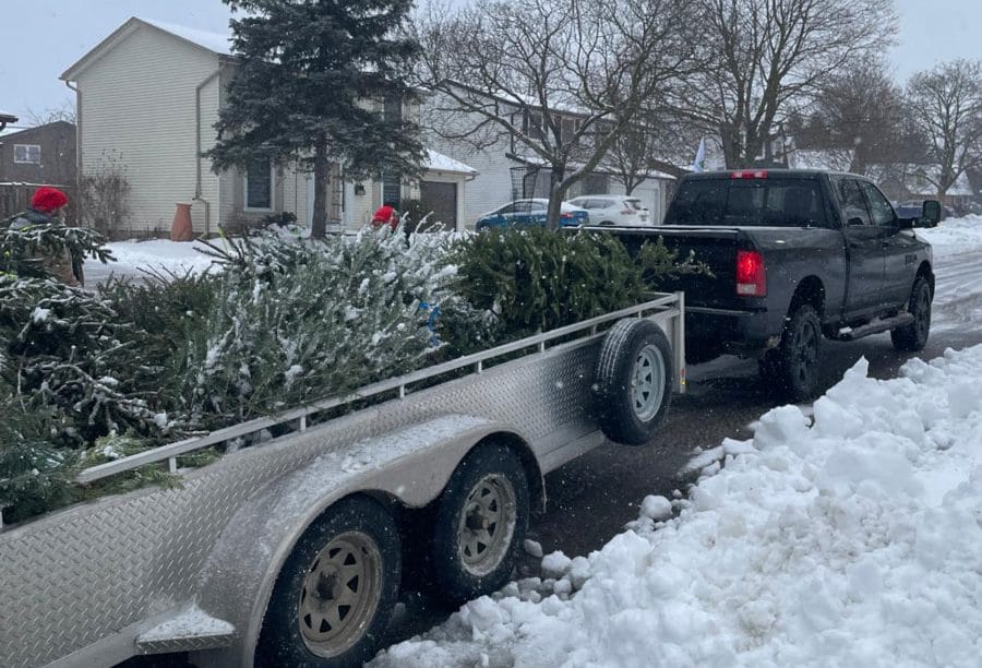 Trees for Tots raises over $93,000 for Children’s Foundation