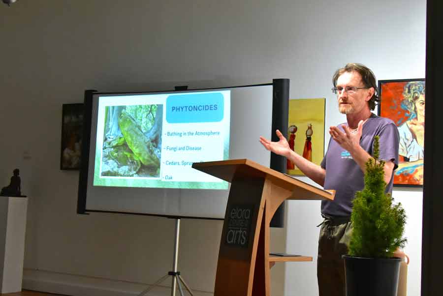 Forest bathing workshop at Elora Centre for the Arts