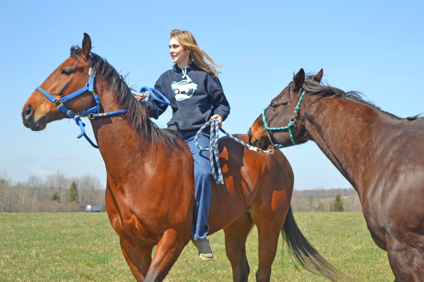 Real-life cowgirl: Ontario High School Rodeo Association competitor Amber Gregson
