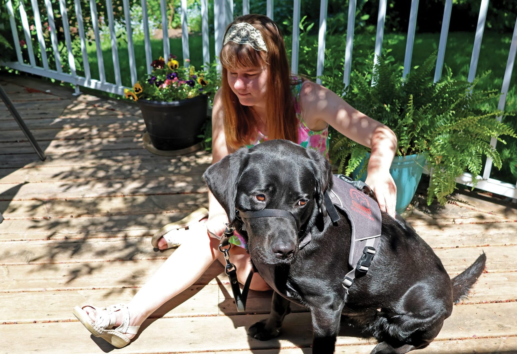 Service dog a ‘Delight’ and friend to Fergus woman