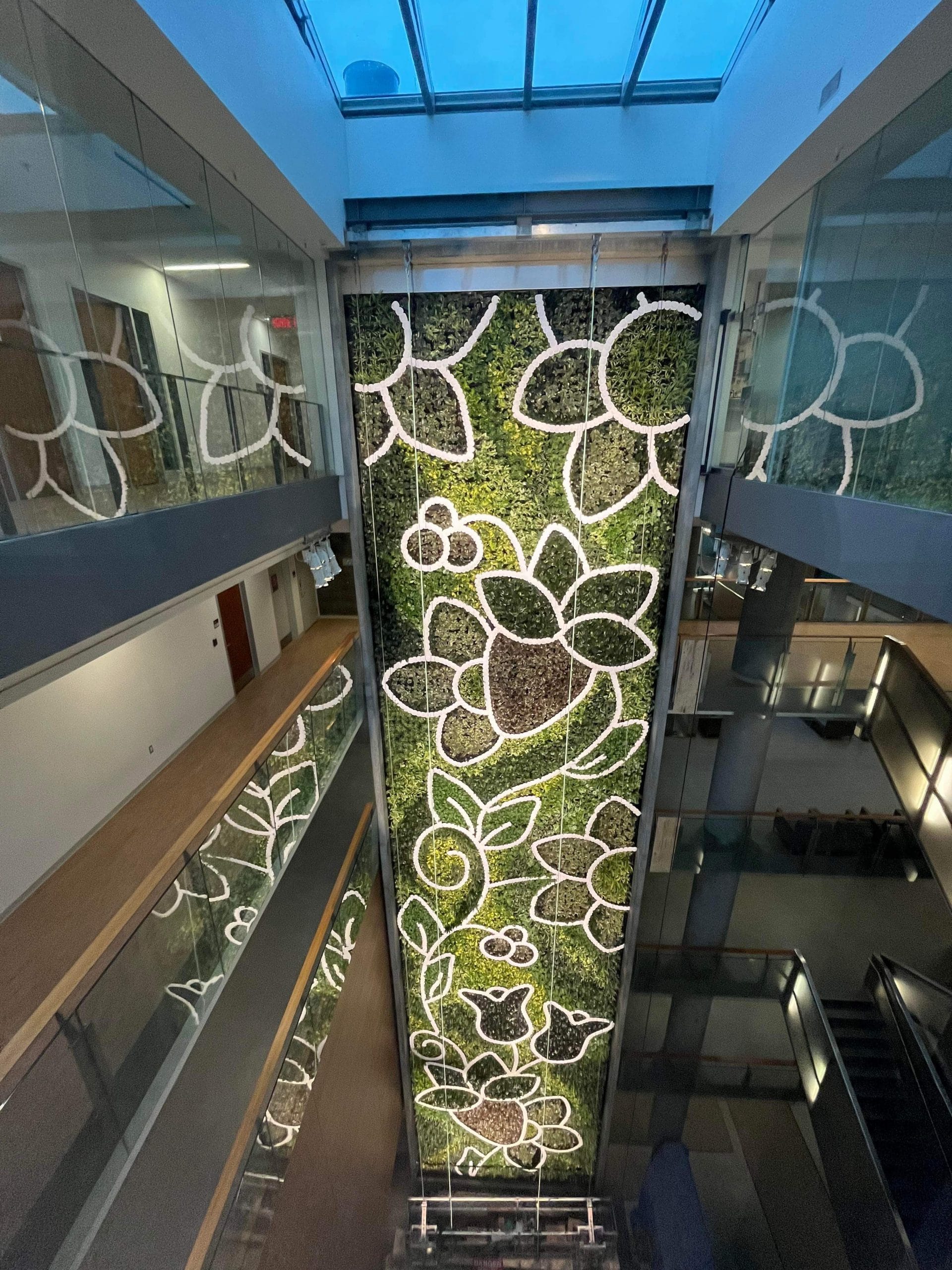 Arthur resident installs ‘one-of-a-kind’ six-floor living wall in Ottawa