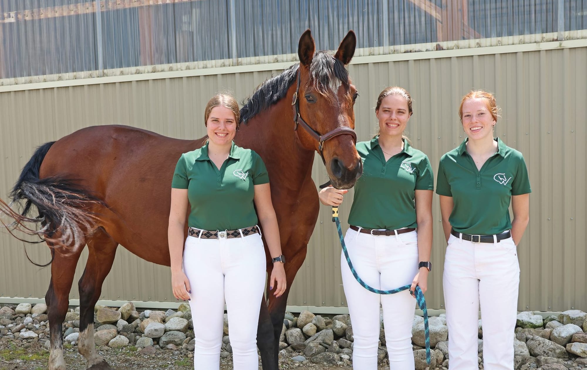 Local riders to showcase horse-breeding knowledge at Denmark competition