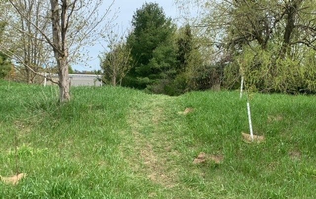 Erin resident outlines concerns with trail near Centre 2000