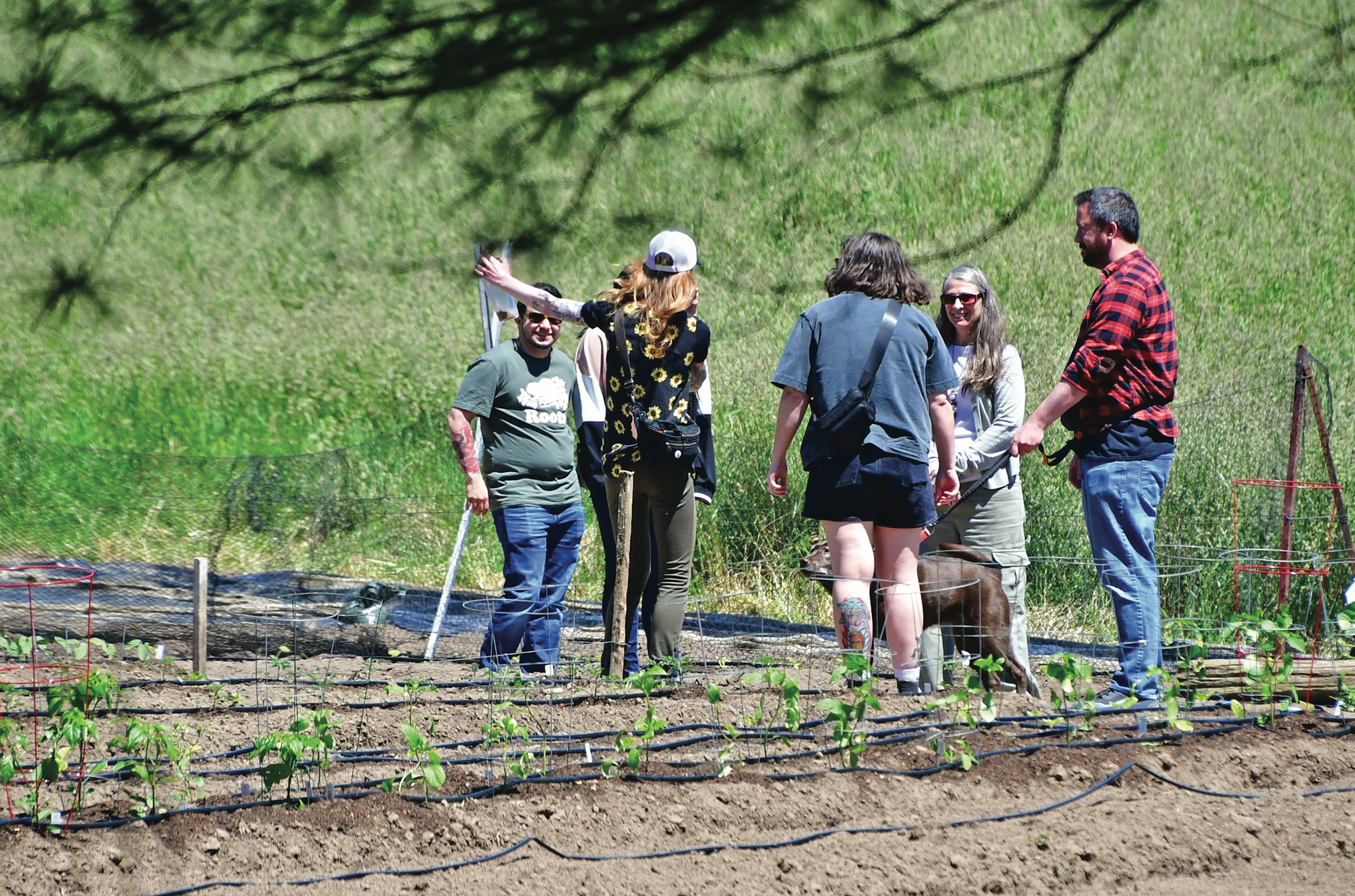 Wicked Welly Farm and Apiary offers farm tours