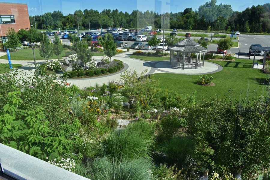 When rain comes in torrents, maybe you need a rain garden