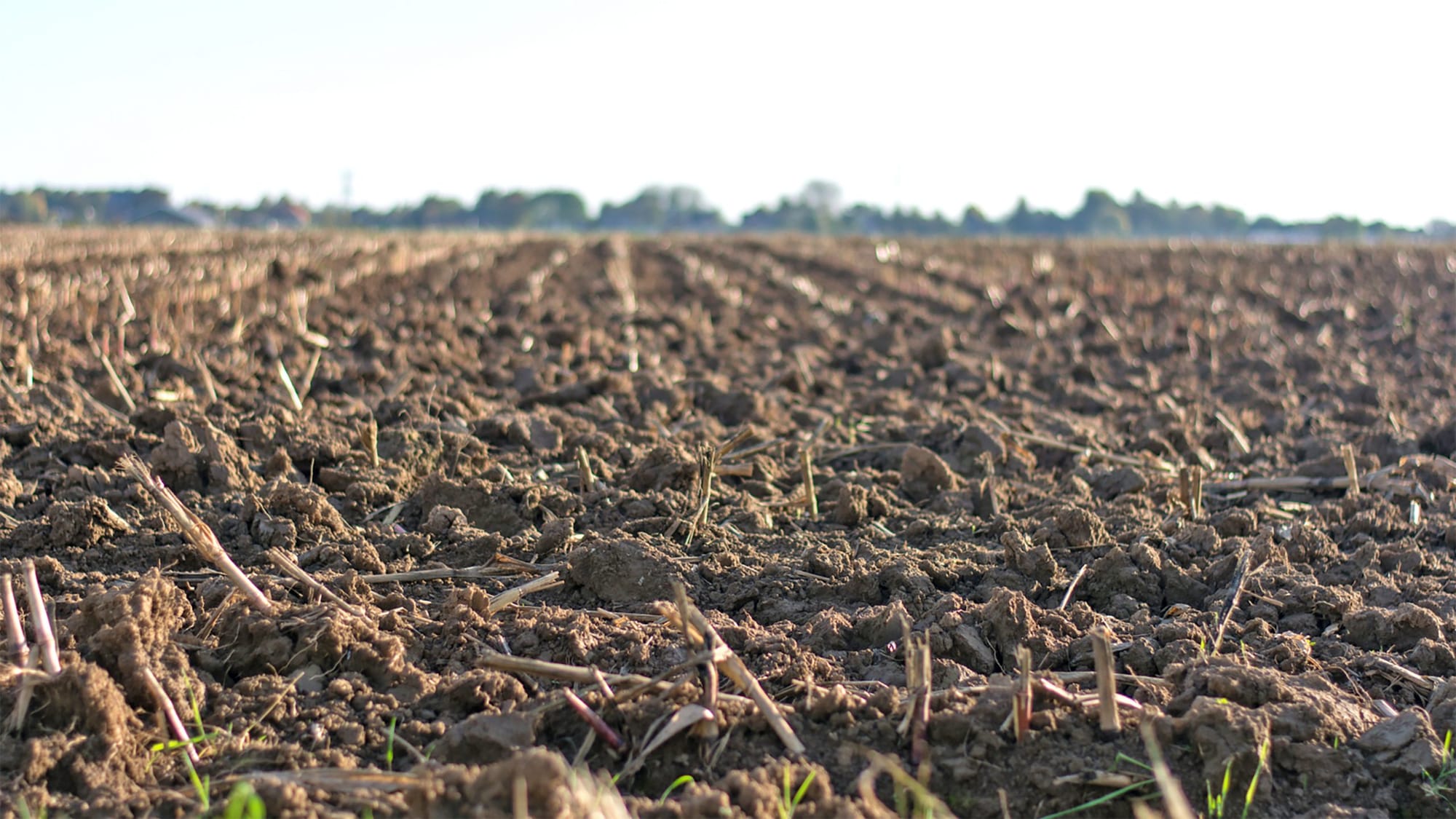 Farmers support Senate soil report recommendations