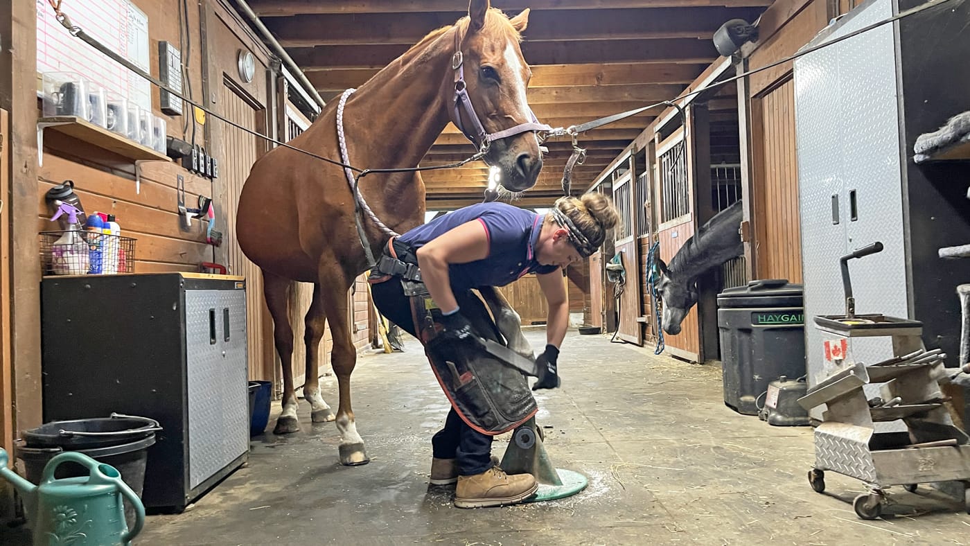 Farrier Sara Veenstra brings happiness, one hoof at a time