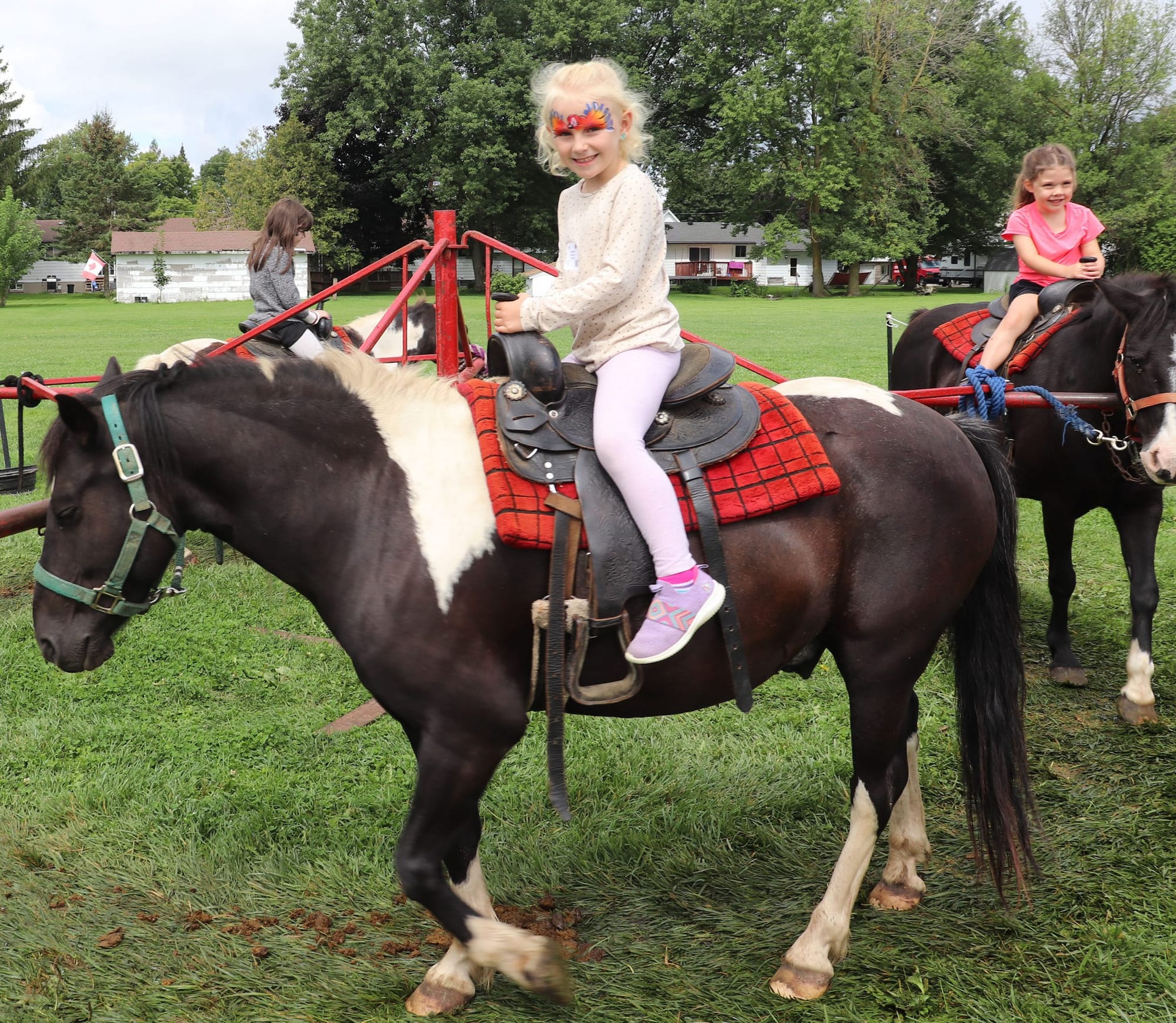 ‘Sow it, Grow it, Show it’ is theme of Palmerston Fair