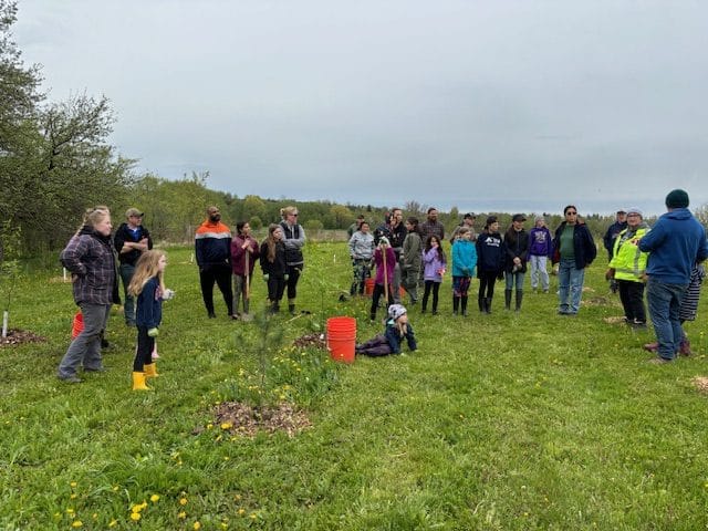 Trees for Mapleton achieves milestone with W. Paul Day Forest Project