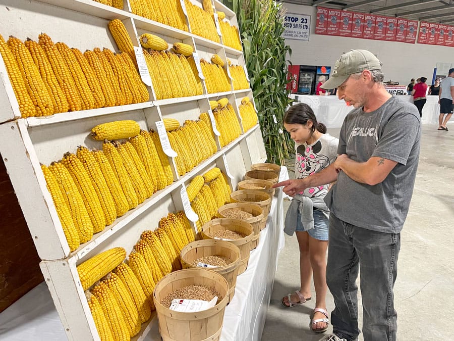 Harriston-Minto Fall Fair returns for 165th year