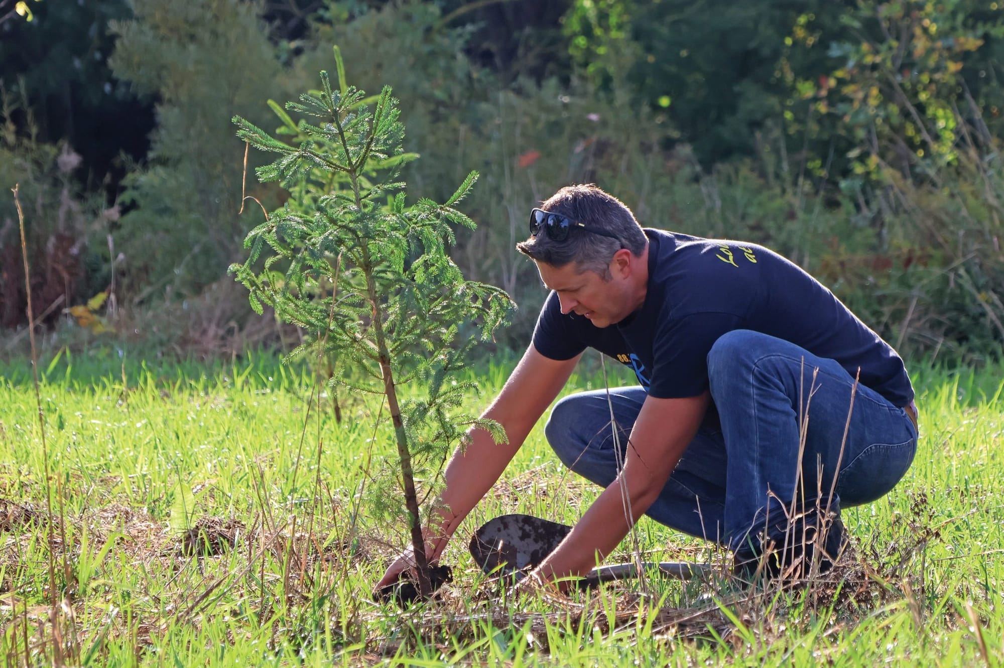 County volunteers dig in to help environment at Warden's Tree Planting