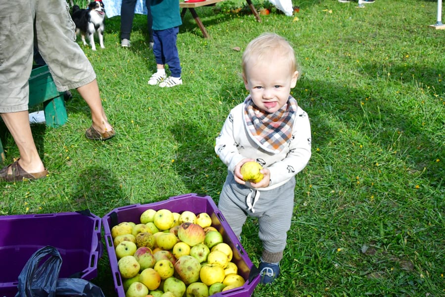 Food Forest Centre Wellington opens gardens for open house