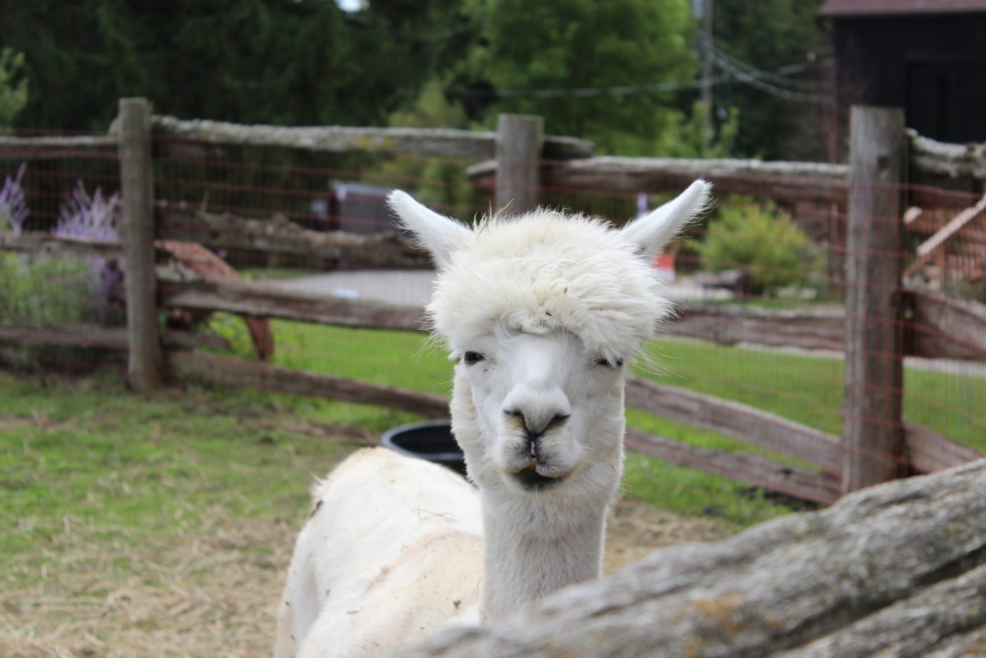 Fall Rural Romp tour at the Fieldstone Barn and Farm