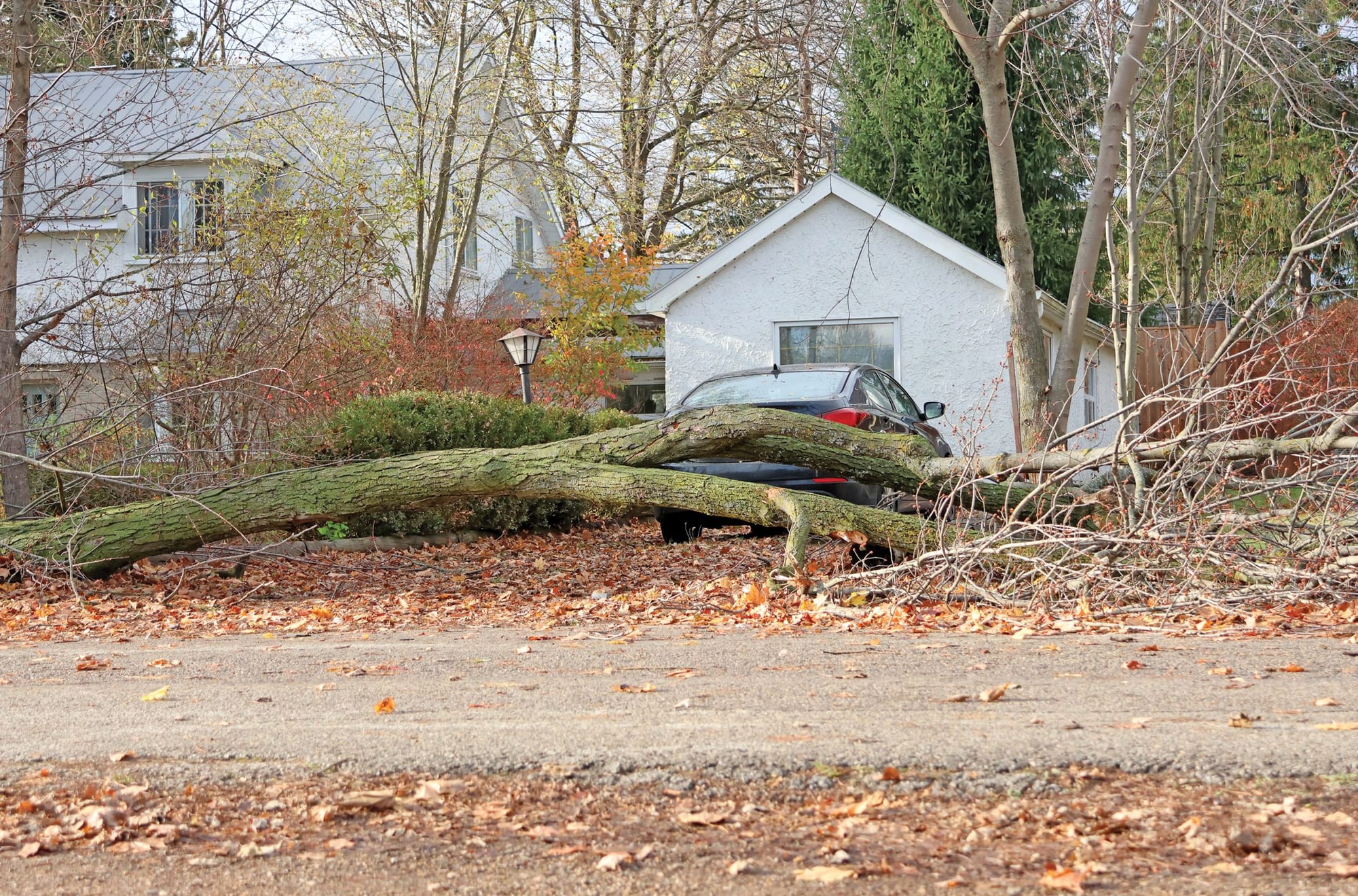 Researchers confirm weak tornado hit Fergus Sunday night