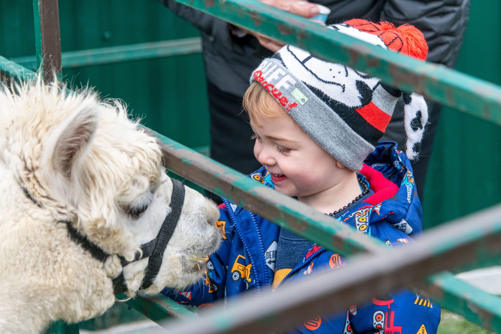 Local vendors kick off Christmas in Erin