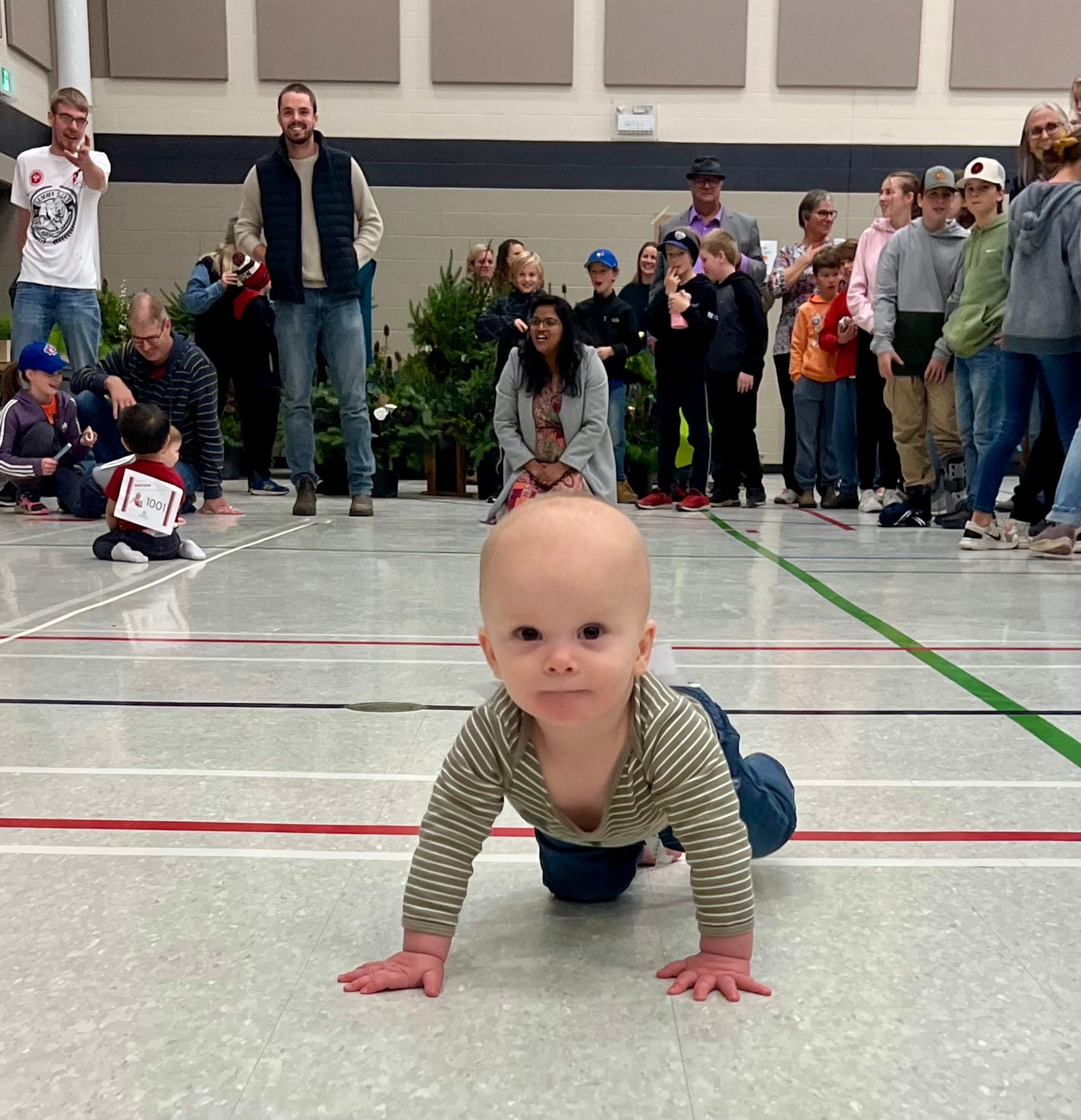 Community Festival a hit at Emmanuel Christian High School