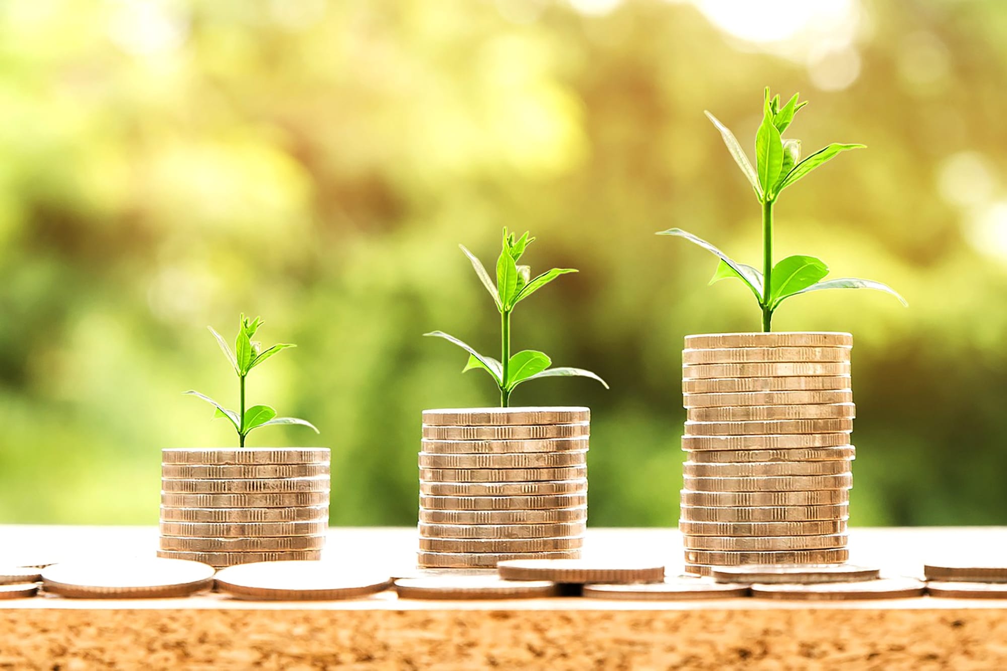 Creating, staying on track with a long-term budget