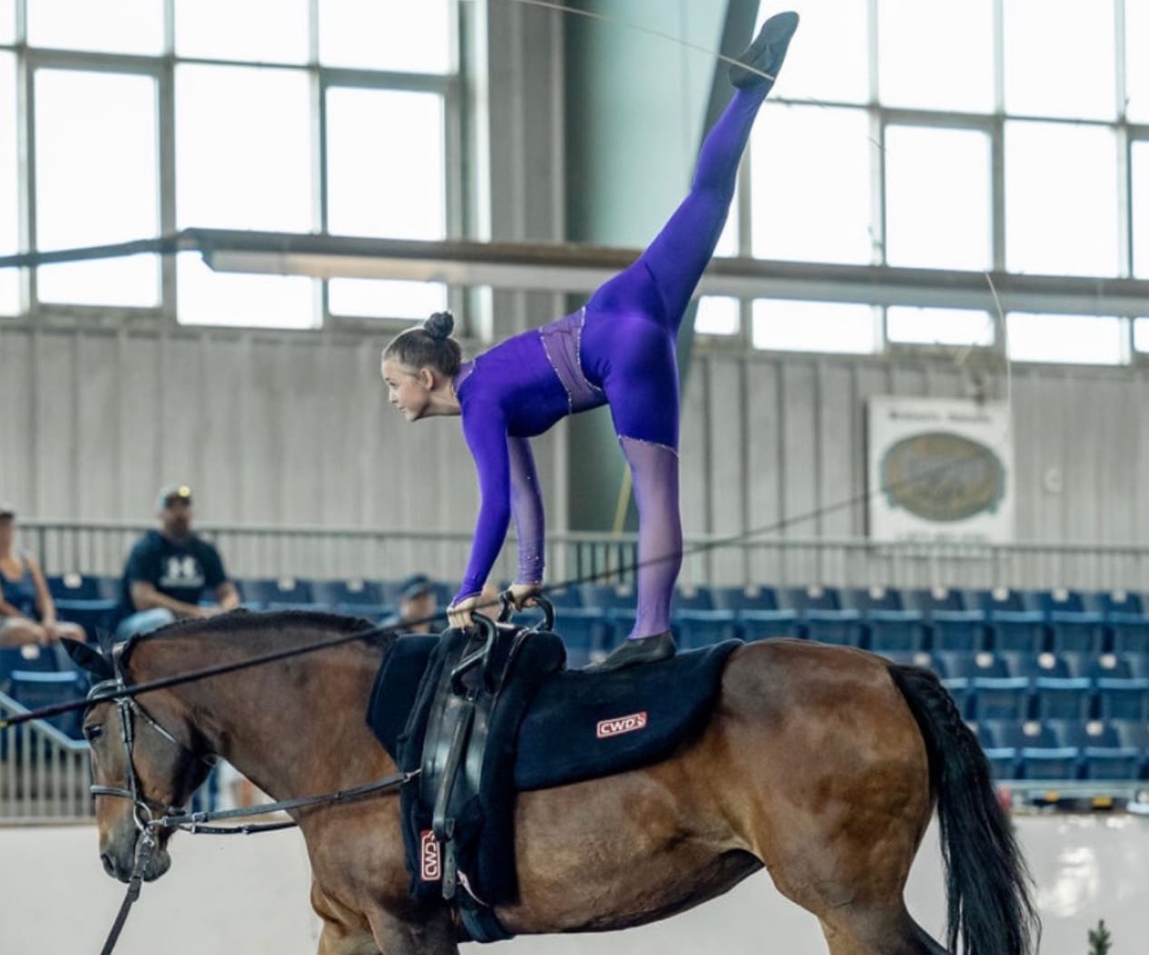 Vaulting gains traction in Ontario as equestrian sport