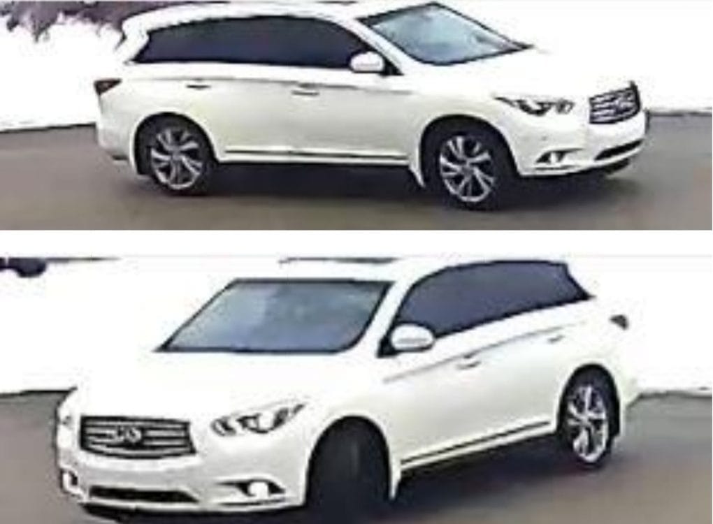 Thieves steal $40,000 in property during Hillsburgh break-in