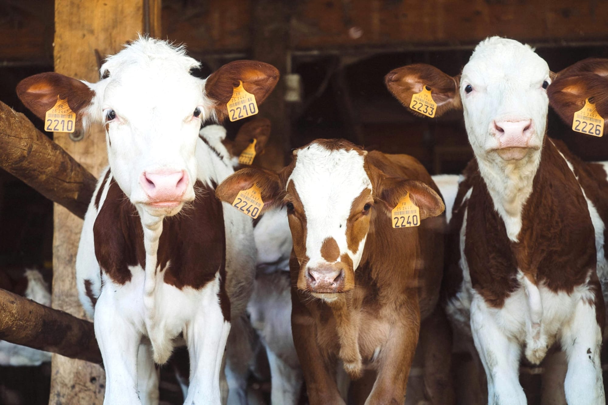 Canadian Agricultural Safety Association celebrates Agricultural Safety Week March 16–22