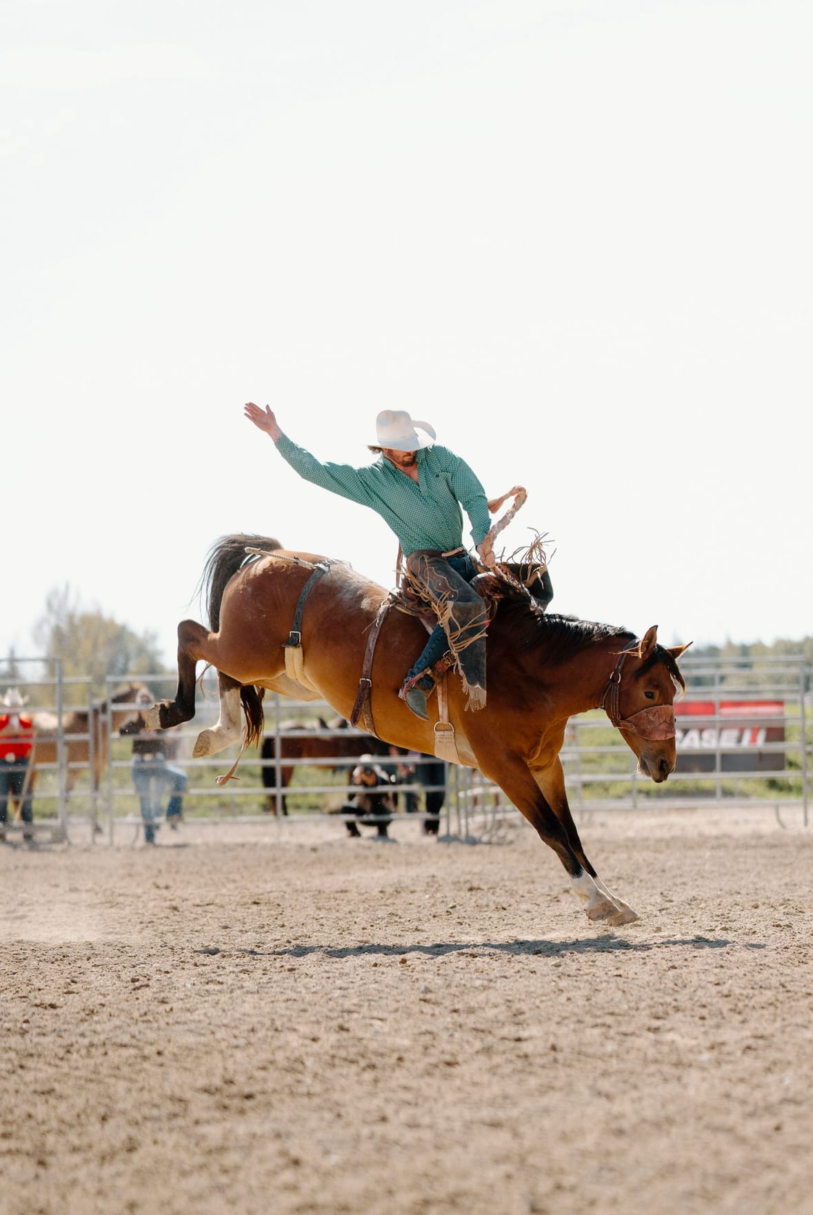 Mapleton’s Mitchel Walker has dream RAM Rodeo season
