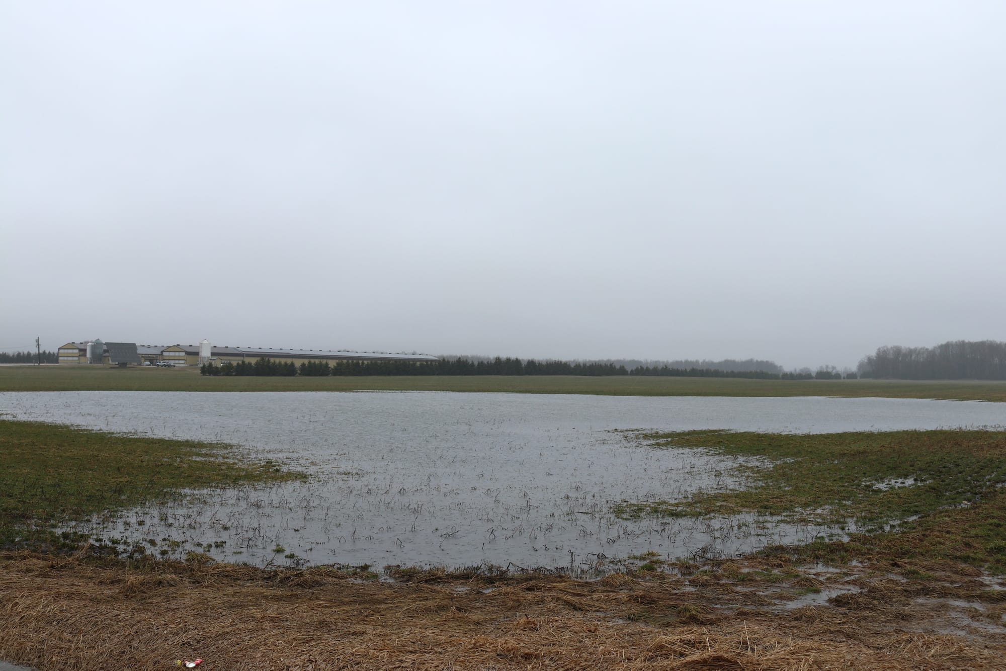 Grand River Conservation Authority issues flood warnings in Drayton