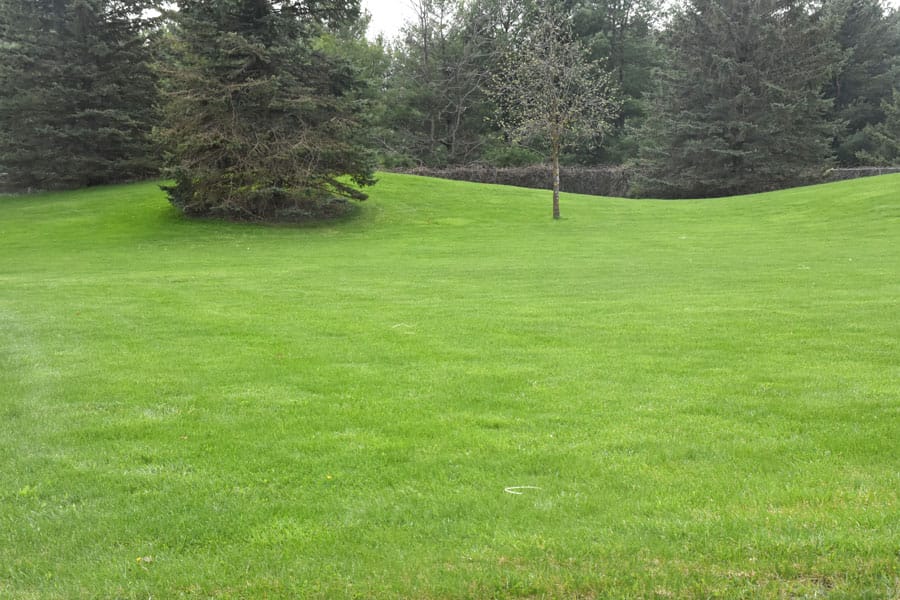 Lawn care doesn’t have to be hard. And a little care goes a long way