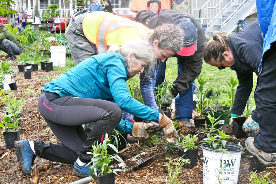 Volunteers help plant pollinator garden at Elora Centre for the Arts