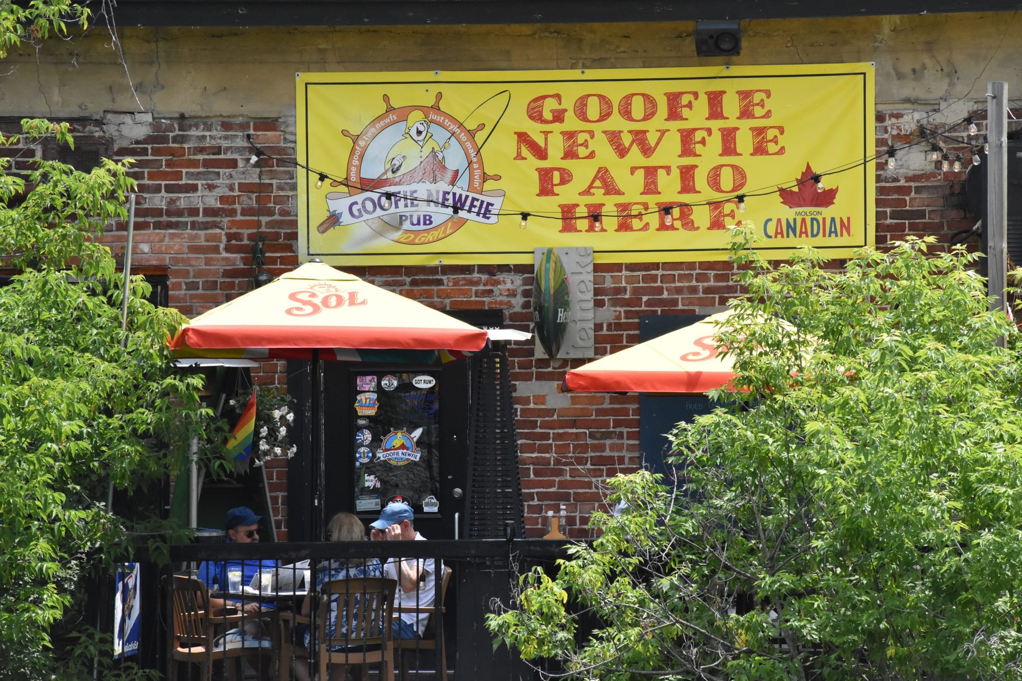 Alcohol sales suspended at Goofie Newfie following sexual assault case