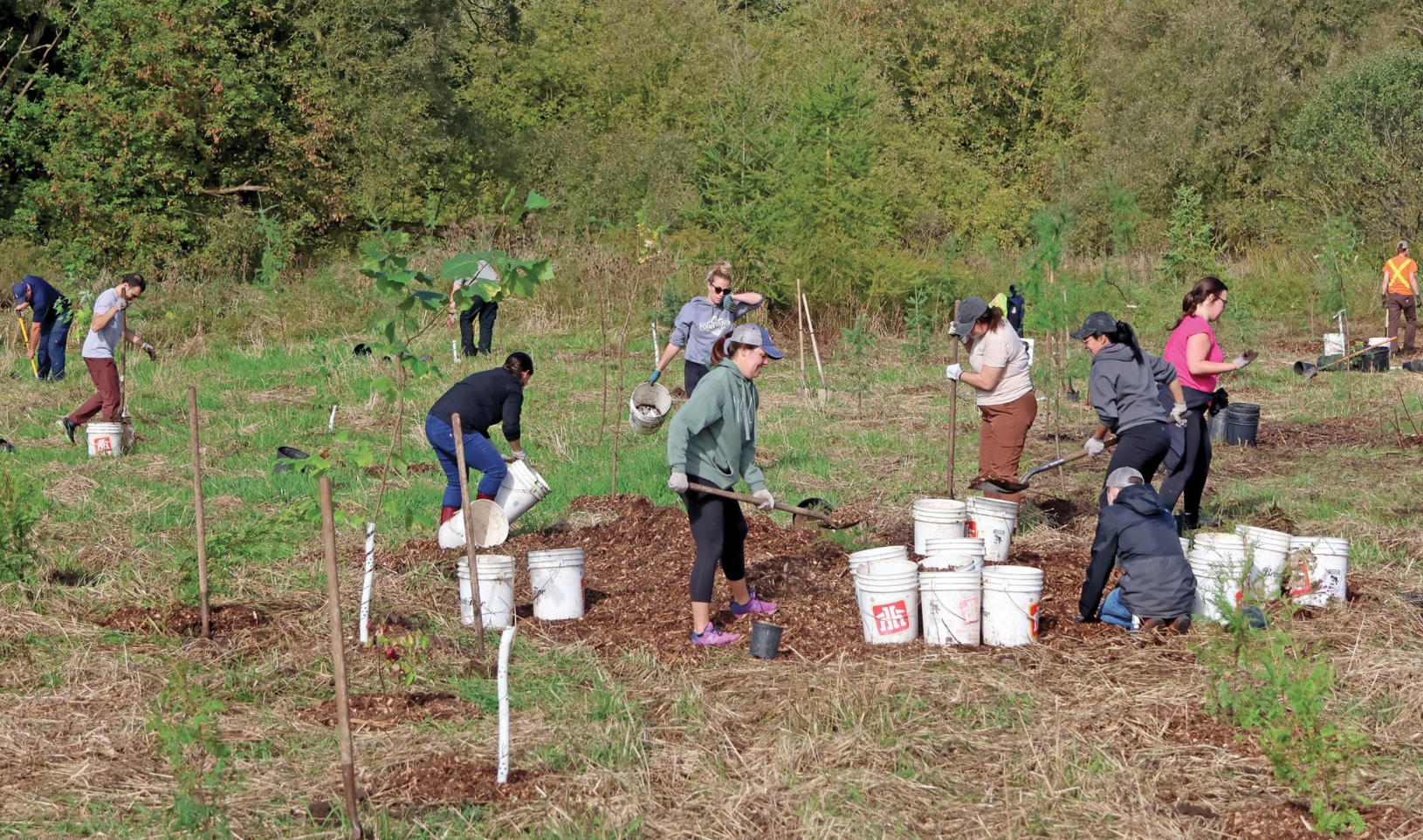 Guelph/Eramosa hosting Warden's Tree Planting event