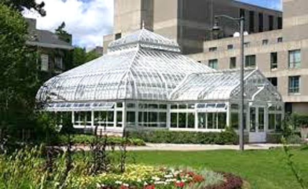 U of G seeks public input on garden to replace already demolished conservatory