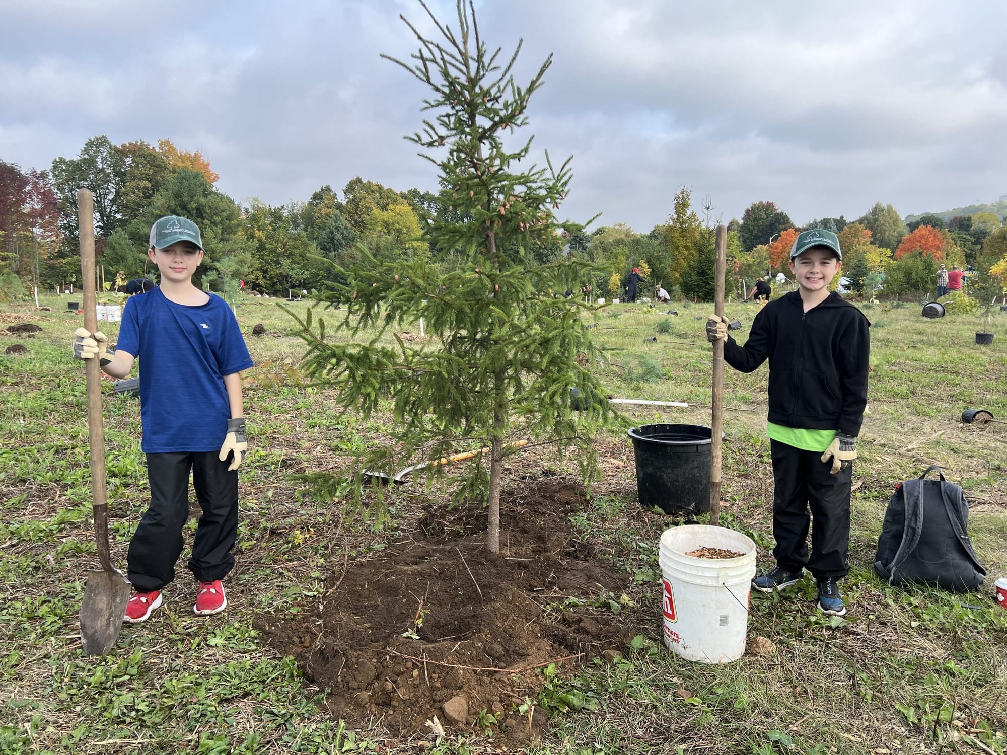 County staff, volunteers plant 850 trees at Valentino Park