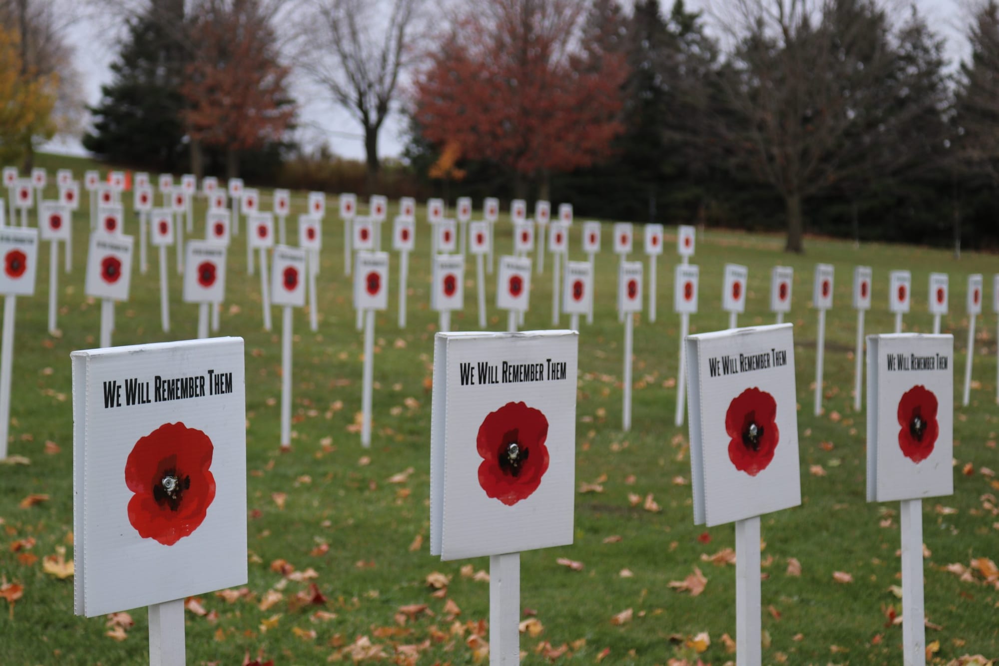 Wellington County Museum and Archives remembers fallen soldiers